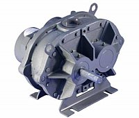 53 Universal RAI® Positive Displacement Blower